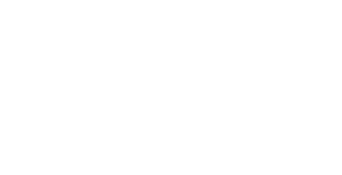 Binar Logo